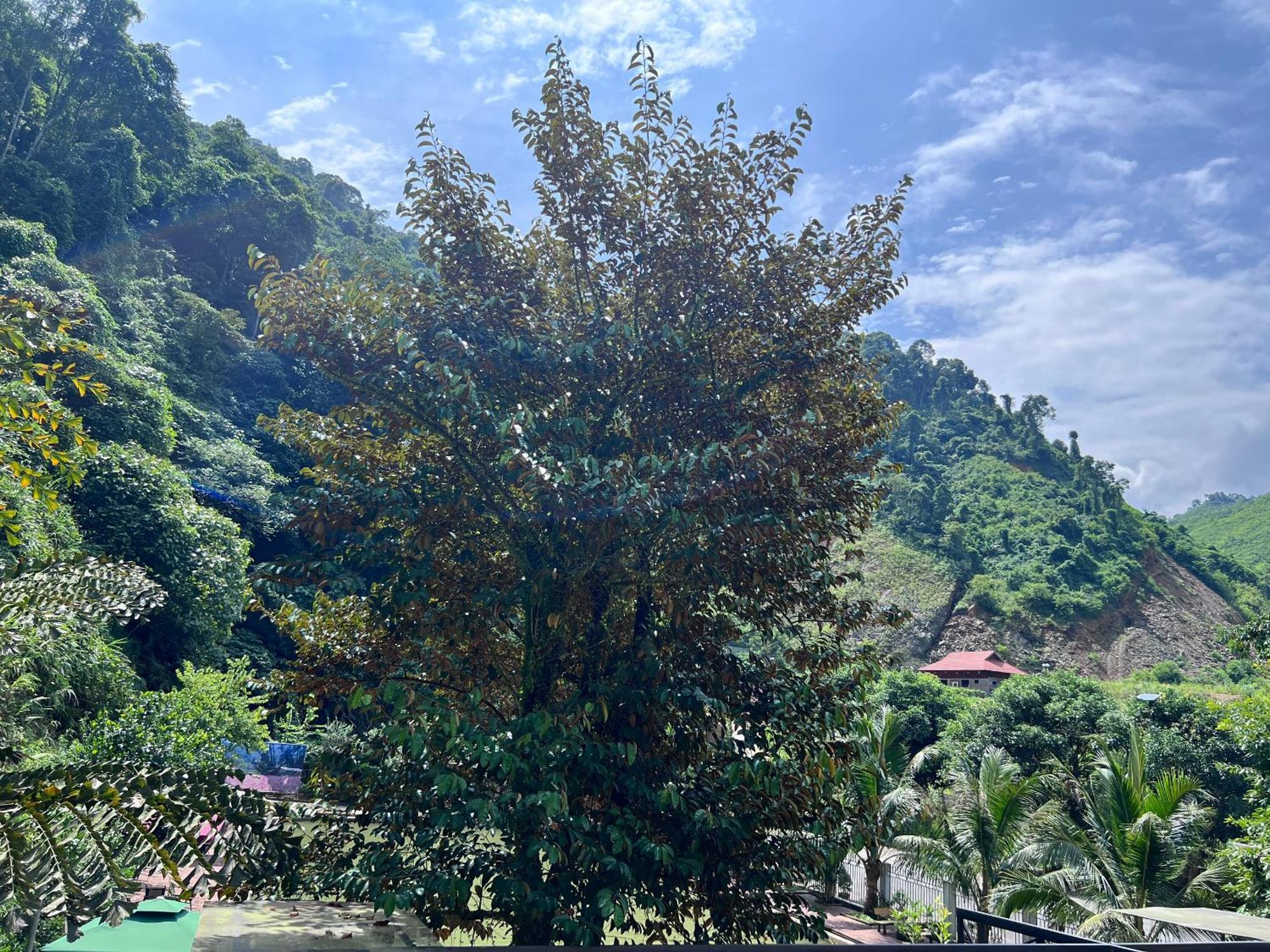 Wind'S House Ha Giang Bed & Breakfast Exterior foto